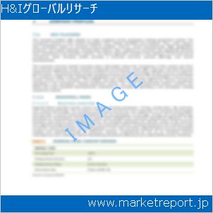 市場と産業調査レポートのイメージ
